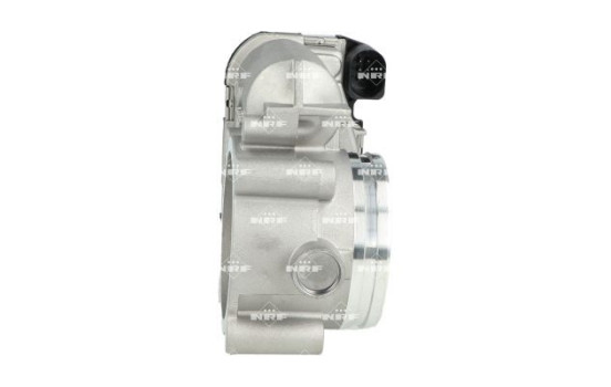Corps de papillon, Image 2
