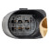 Corps papillon 109028 FEBI, Vignette 4