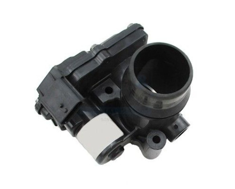 Corps papillon