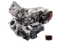 Module-EGR 174592 FEBI
