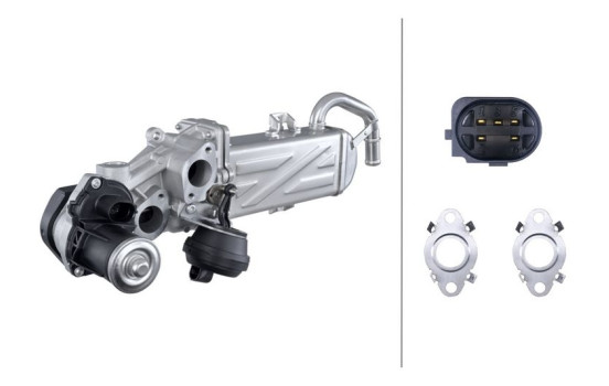 Module-EGR 6NU 358 167-001 Hella, Image 4