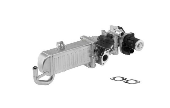 Module-EGR 710861D Wahler, Image 2