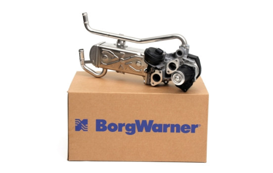 Module-EGR 710863D Wahler