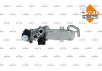 Module-EGR EASY FIT