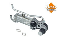 Module-EGR EASY FIT