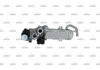 Module-EGR EASY FIT