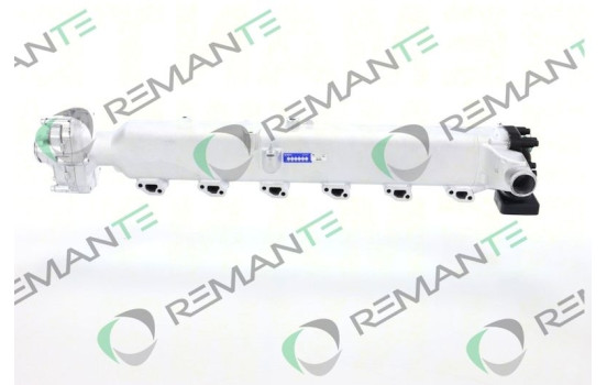 Module EGR REMAN 51081007210