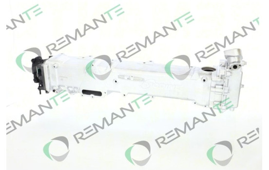 Module EGR REMAN 51081007258