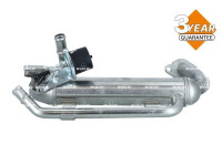 Module-EGR