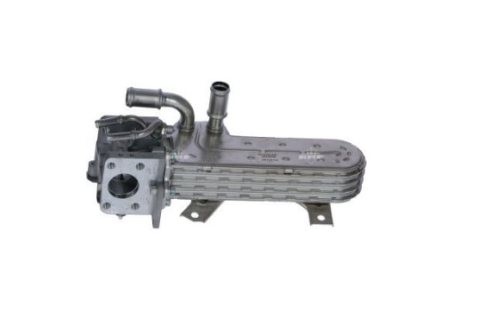 Module-EGR