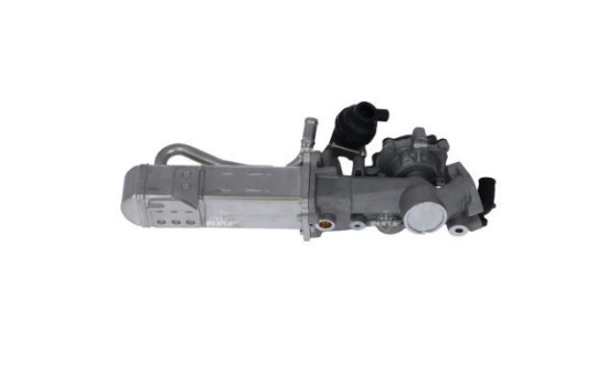 Module-EGR, Image 3
