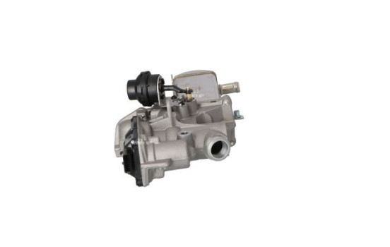 Module-EGR, Image 2