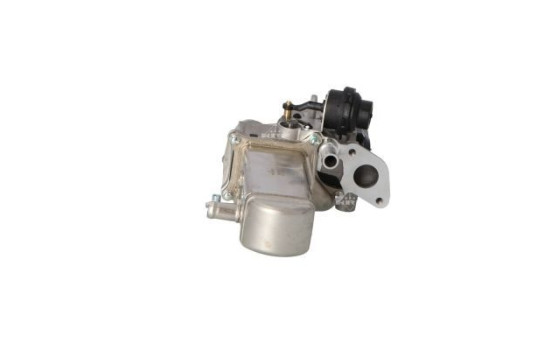 Module-EGR, Image 4