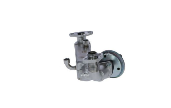 Module-EGR, Image 4