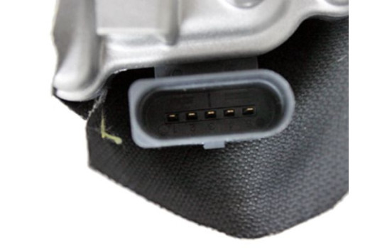 Refroidisseur, retour d'échappement, Image 6