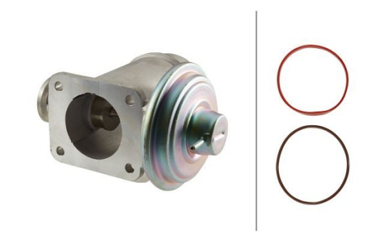 Vanne EGR 6NU 010 171-921 Hella