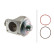 Vanne EGR 6NU 010 171-921 Hella