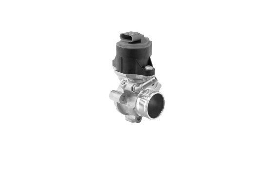 Vanne EGR 710795D Wahler