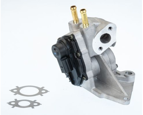 Vanne EGR 710937D1 Wahler