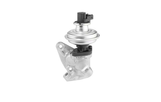Vanne EGR 712092D Wahler, Image 2