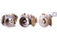 Vanne EGR 717710117 DRI