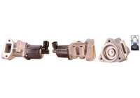 Vanne EGR 717720127 DRI