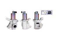 Vanne EGR 717720341 DRI