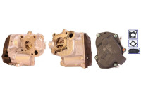 Vanne EGR 717730139 DRI