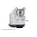 Vanne EGR ADN17233 Blue Print, Vignette 5