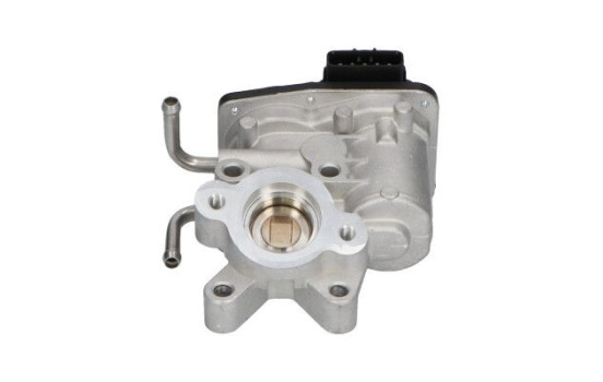 Vanne EGR EEG-8003 Kavo parts