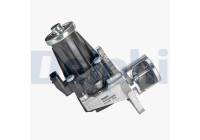 vanne EGR EG10566-12B1 Delphi