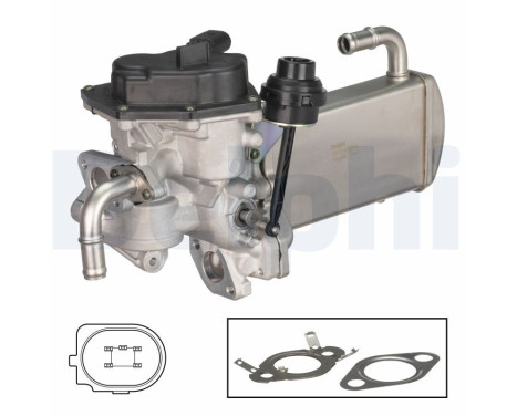 Vanne EGR EG10576-12B1 Delphi