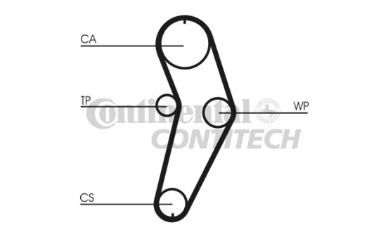 Bomba de agua + correas de distribución CT709WP2 Contitech, Imagen 2