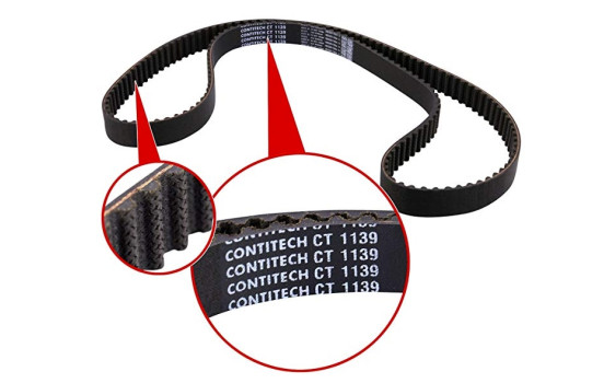 Bomba de agua y correas de distribución CT1139WP6 Contitech, Imagen 3