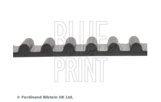 Correa de distribución ADC47513 Blue Print, Imagen 4