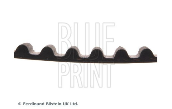 Correa de distribución ADG07503 Blue Print, Imagen 4