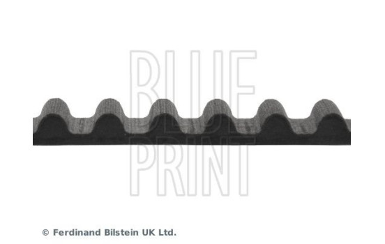 Correa de distribución ADH27526 Blue Print, Imagen 4