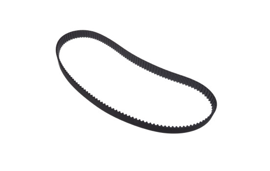 Correa de distribución ADJ137504 Blue Print