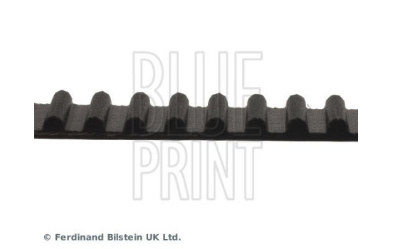 Correa de distribución ADK87511 Blue Print, Imagen 4