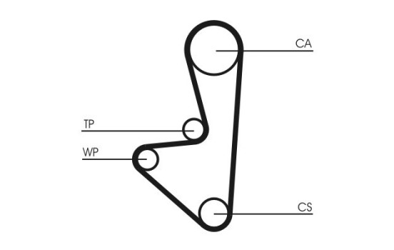 Correa de distribución CT1066 Contitech, Imagen 3