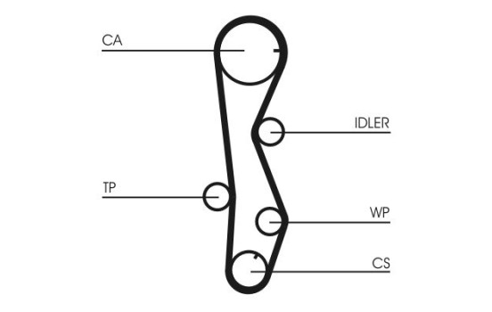 Correa de distribución CT1099 Contitech, Imagen 3