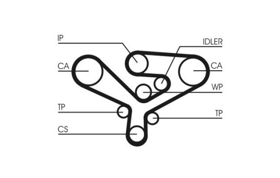 Correa de distribución CT1135 Contitech, Imagen 4