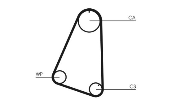 Correa de distribución CT504 Contitech, Imagen 4