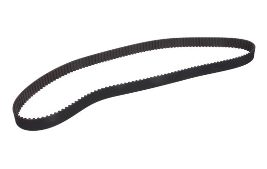 Correa de distribución CT832 Contitech