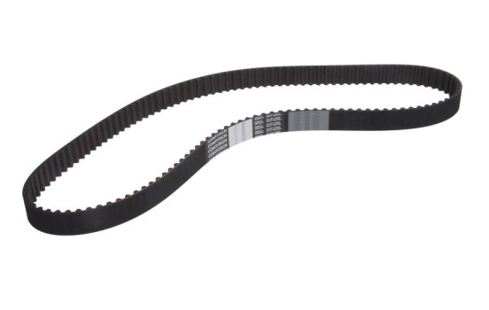 Correa de distribución CT887 Contitech