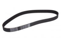 Correa de distribución CT952 Contitech