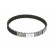 Correa dentada CT 1004 Contitech