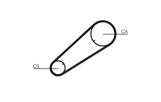 Correa dentada CT 1004 Contitech, Imagen 4