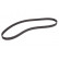 Correa dentada CT1167 Contitech