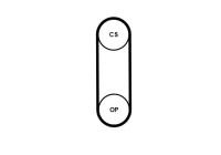 Correa dentada CT1238 Contitech